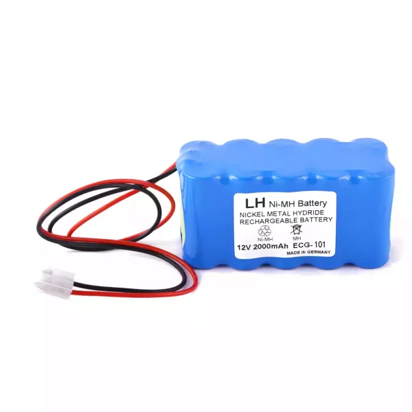 Vervangende Accu Compatibel met Biocare ECG-300G ECG-101A ECG-101G